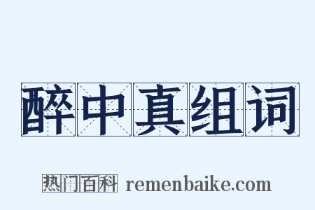 醉中真组词是什么意思的图片